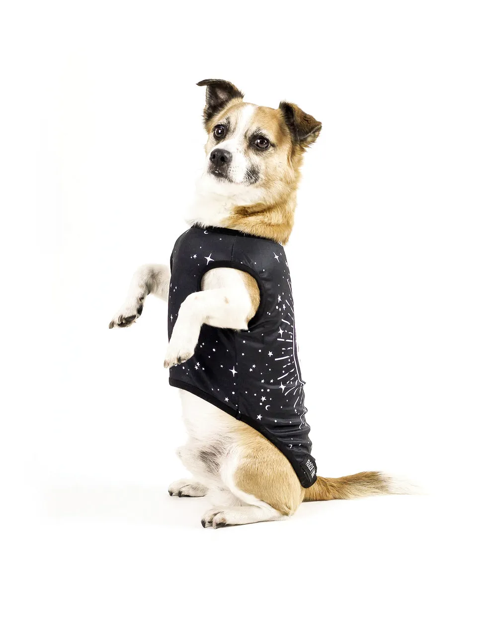 Astral Pet Vest - Dog or Cat