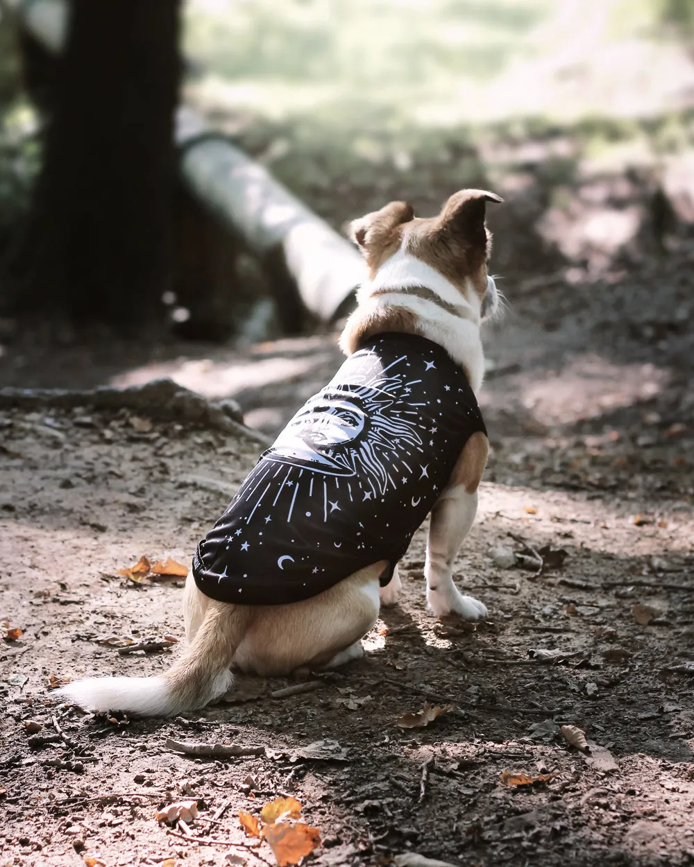 Astral Pet Vest - Dog or Cat