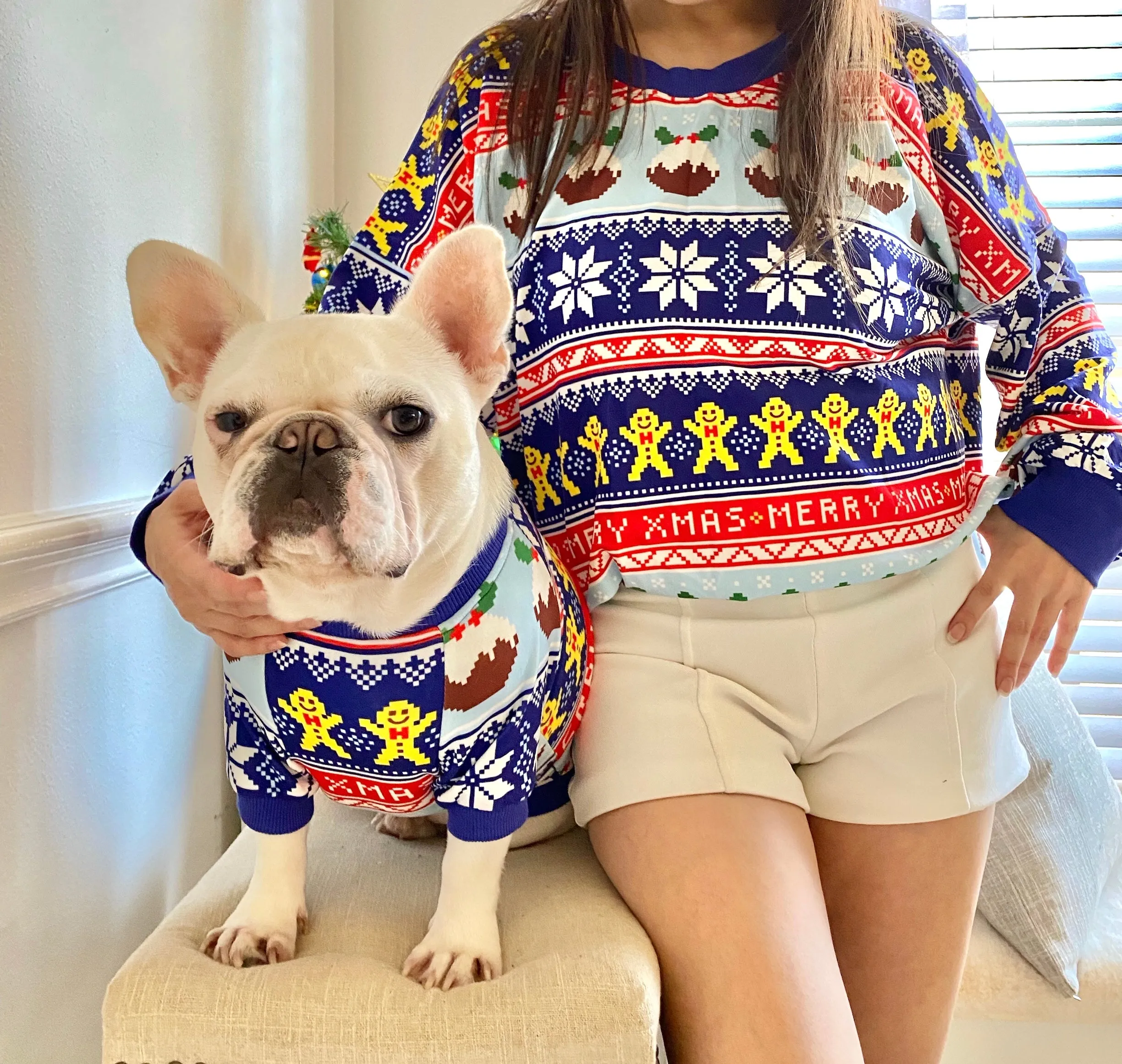 Christmas Dessert Pudding Owner and Pet Family Matching