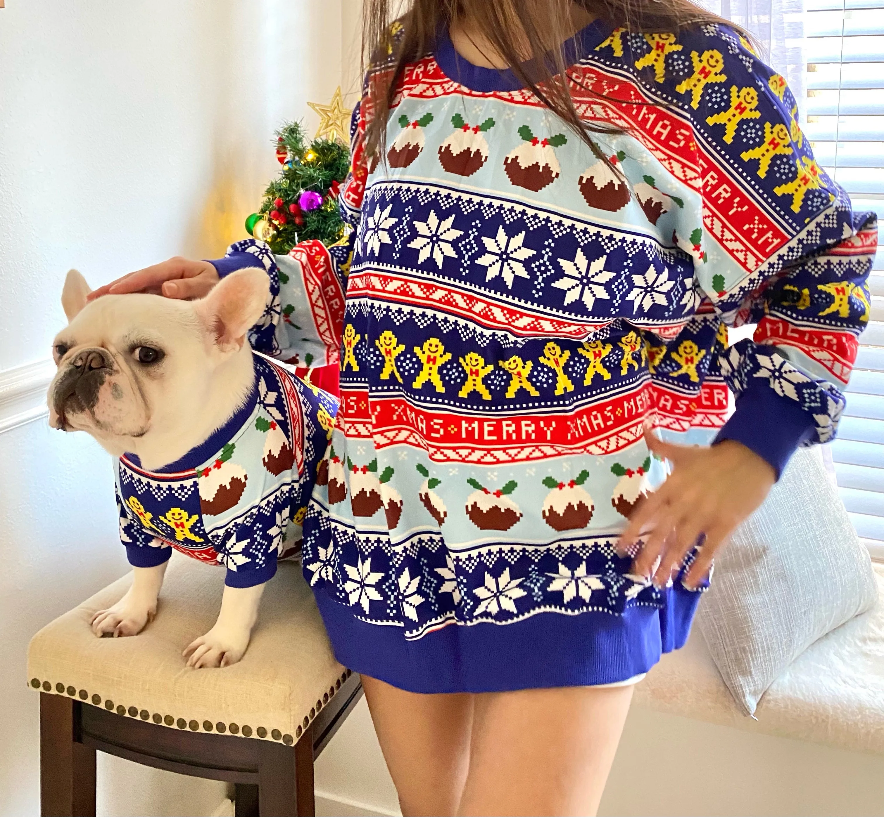 Christmas Dessert Pudding Owner and Pet Family Matching