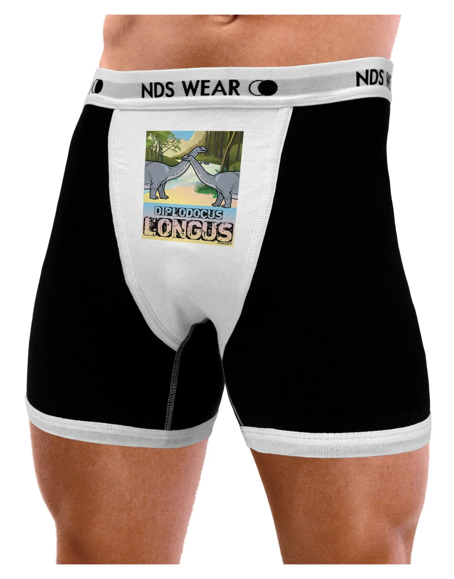 Diplodocus Longus - With Name Mens Boxer Brief Underwear