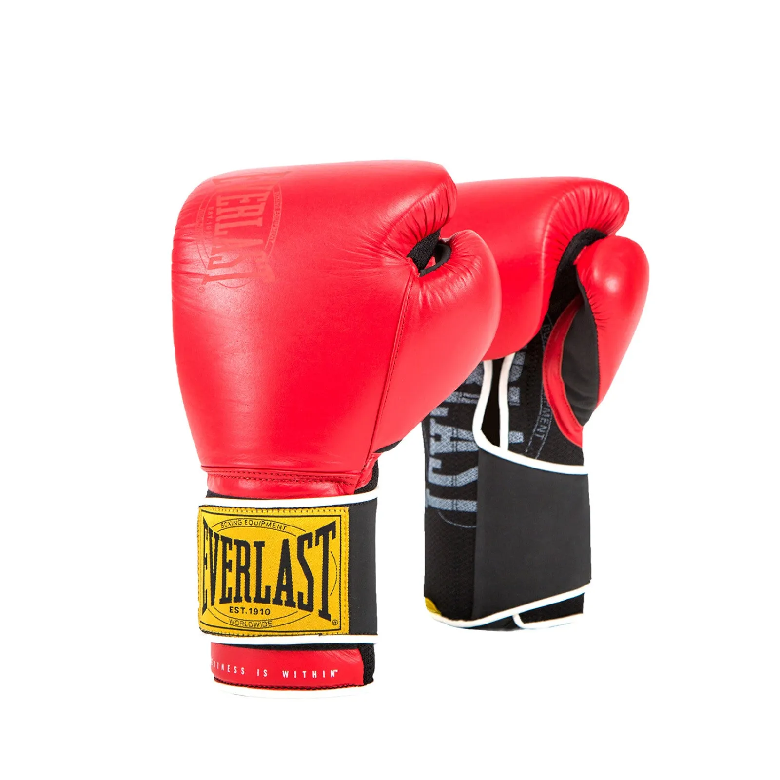 Everlast 1910 Classic Training Leather Boxing Gloves