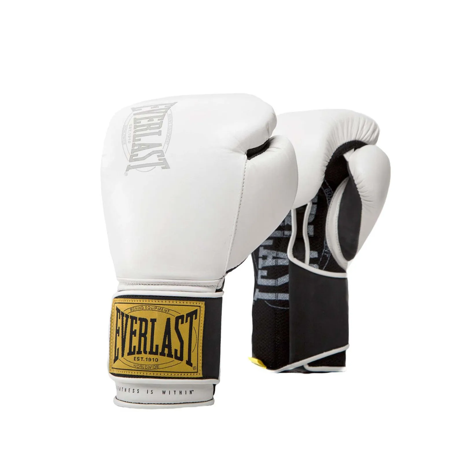 Everlast 1910 Classic Training Leather Boxing Gloves