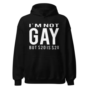 Midweight Cotton Blend Hoodie I'm Not Gay But a 20 Is A 20 Ultra Soft Unisex Pullover