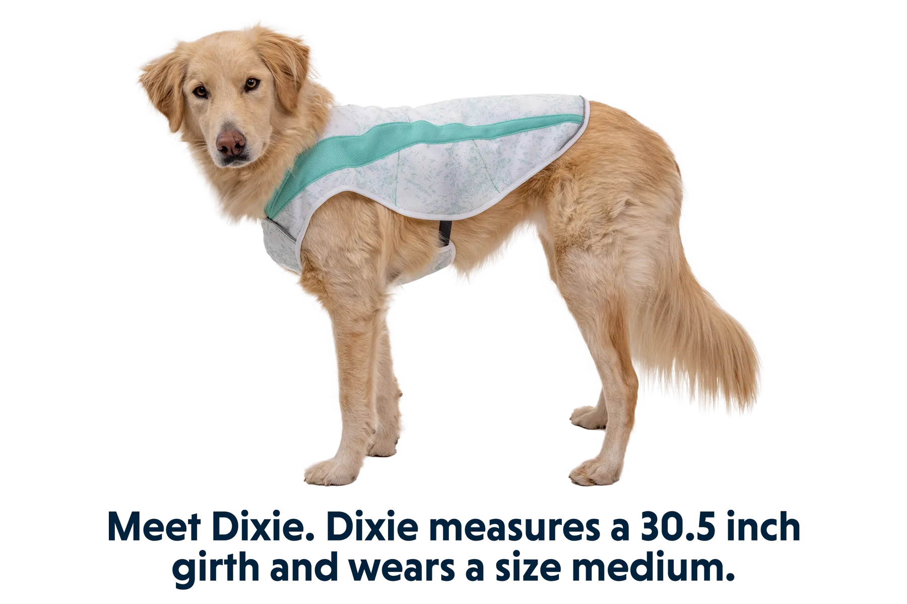 Swamp Cooler™ Cooling Dog Vest