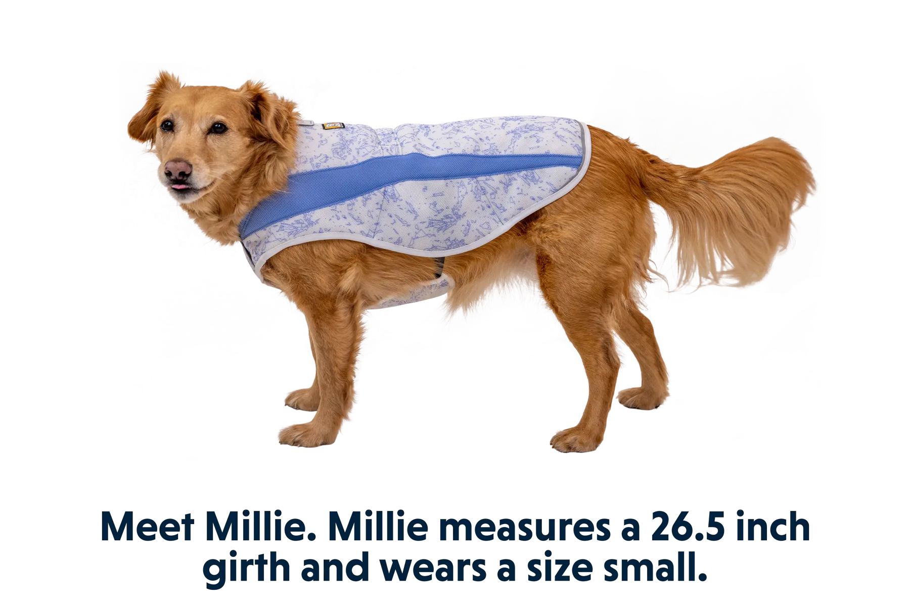 Swamp Cooler™ Cooling Dog Vest